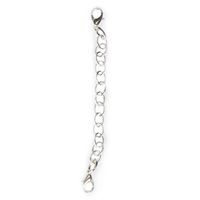Lucky Charm Accessory Silver Polished Chain