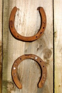 Horseshoe - Lucky Up or Lucky Down?