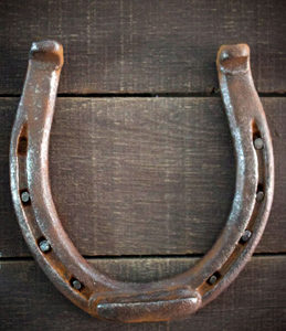 Iron Horseshoe nailed to a Door