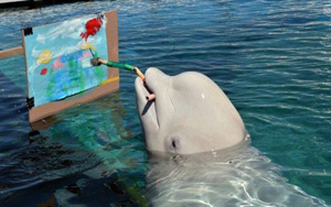 A Dolphin Painting a Picture