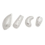 Silver Dry Fruits Thumbnail