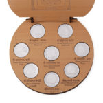 AshtaVinayak Coins 20gms in Silver by Osasbazaar Top