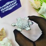 Pure Silver Tortoise Image Hand Dimension 1