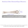 Charnamrit Spoon in Silver by Osasbazaar Dimensions