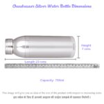 Water Bottle in Silver by Osasbazaar Dimensions